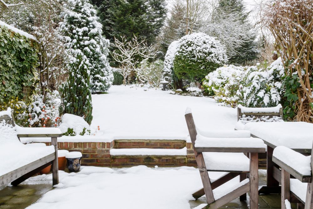 A serene garden scene featuring snow-covered ground and rustic wooden benches surrounded by bare trees.