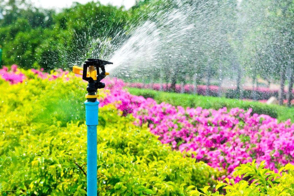 A sprinkler sprays water over a vibrant flower garden, enhancing the colors and freshness of the blooming plants.