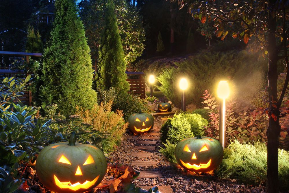 A garden at night filled with carved Halloween pumpkins, glowing softly against the dark backdrop of the evening sky.