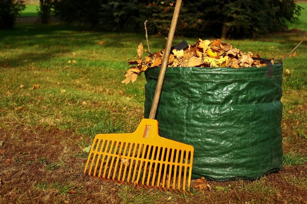 A rake rests beside a bag filled with leaves, both placed on a patch of green grass.