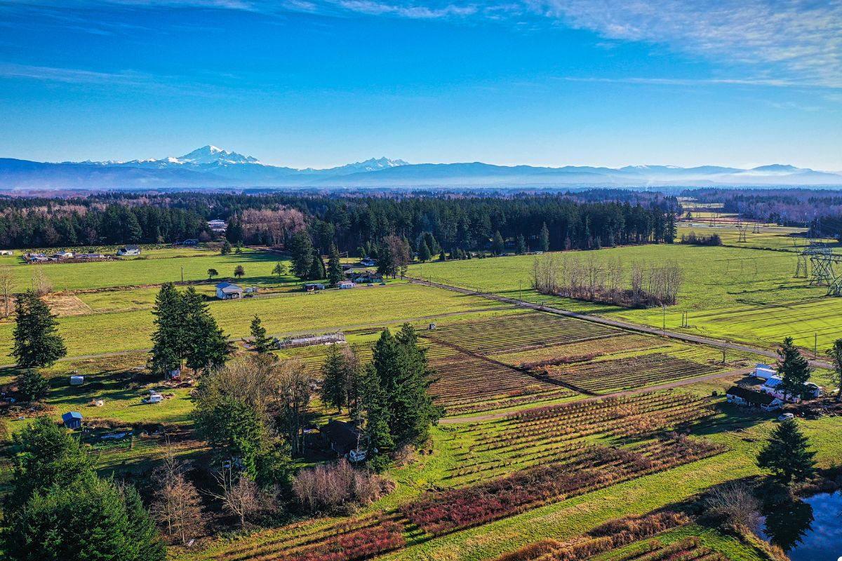 Aerial view showcasing a lush farm surrounded by majestic mountains under a clear blue sky.