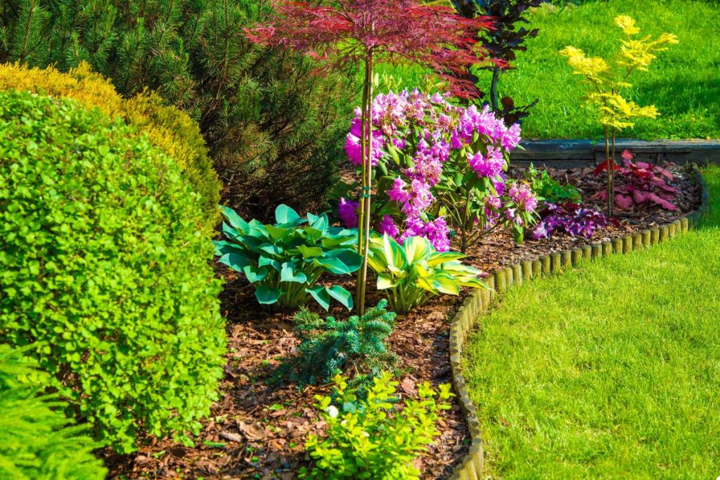 A vibrant garden filled with a variety of colorful flowers and lush shrubs, showcasing nature's beauty.