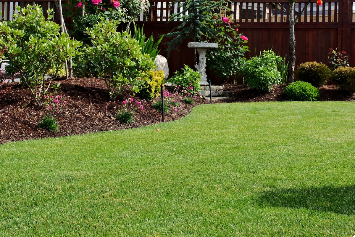 A vibrant lawn featuring lush green grass, perfectly manicured and inviting for outdoor activities.