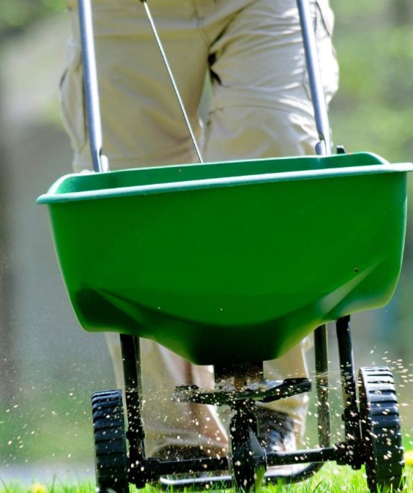 A person in a garden using a green wheelbarrow to distribute grass seed across the soil.