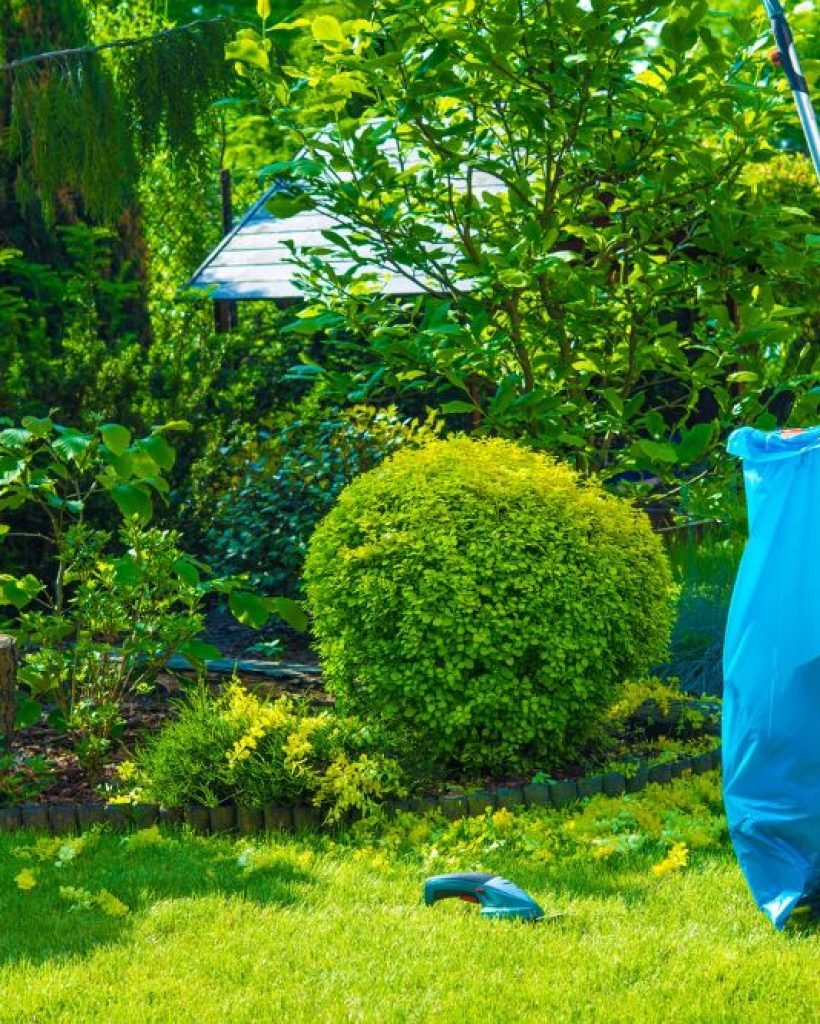 A lawn mower sits in the middle of a lush garden, with colorful plants and grass surrounding it.